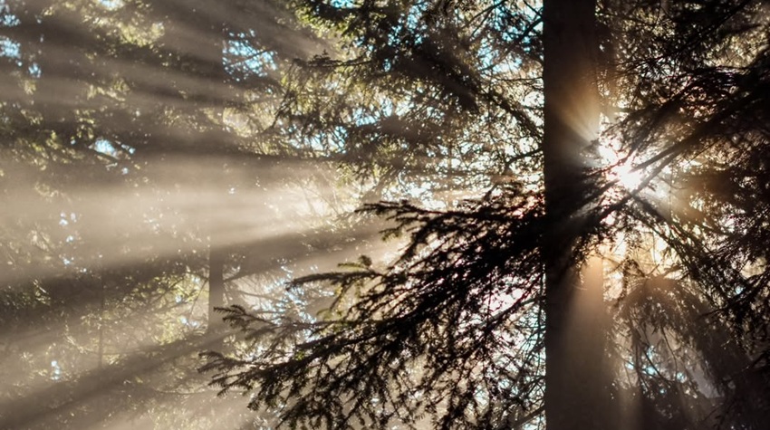 SKRIVENA STRANA KOZARE - KAD SVJETLOST PROGOVORI